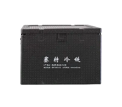 EPP Insulated Box